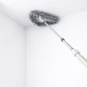 Ceiling dusting & cobweb cleaning (Complete Home All Size)