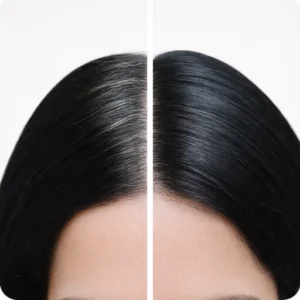 L'Oréal Inoa root touch-up